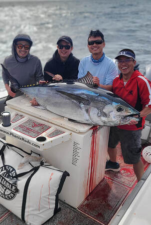 Pelican Sportfishing San Diego Fishing Charter Offshore Fishing Trips